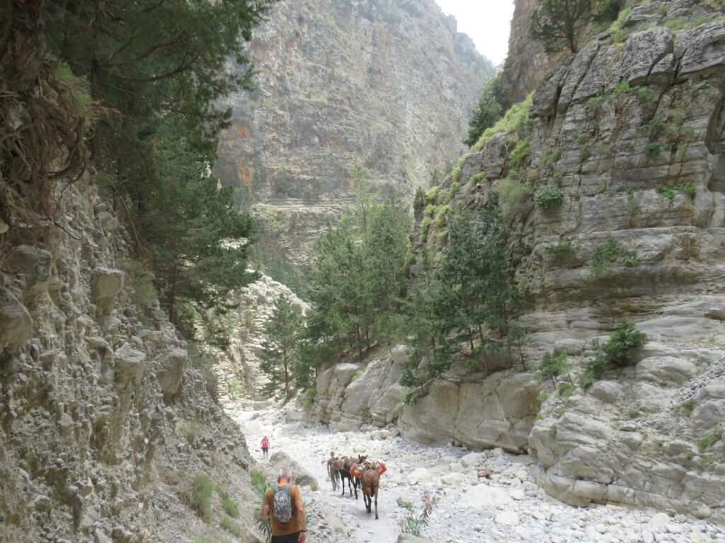Samaria Gorge All-Inclusive Tour