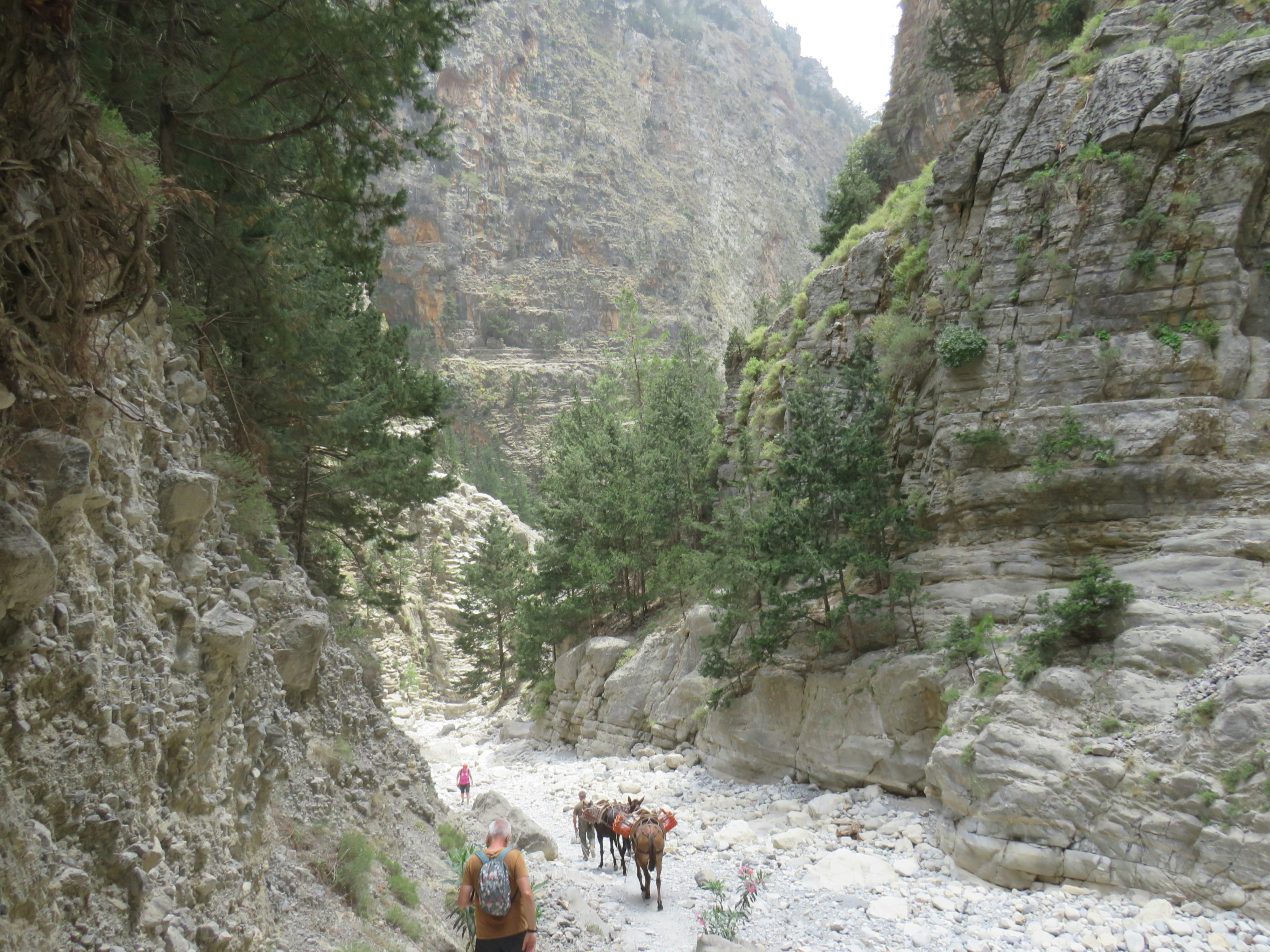Samaria Gorge All-Inclusive Tour