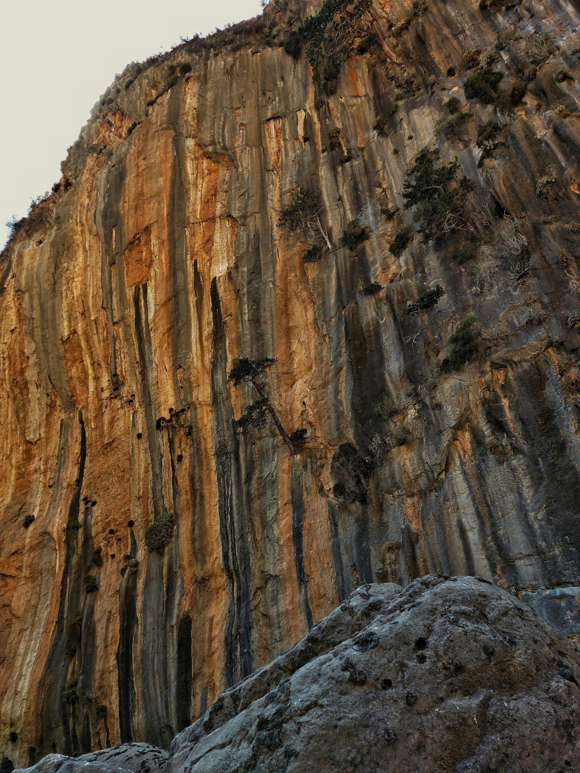 Samaria Gorge Taxi and Boat Transfer: Agia Roumeli to Omalos